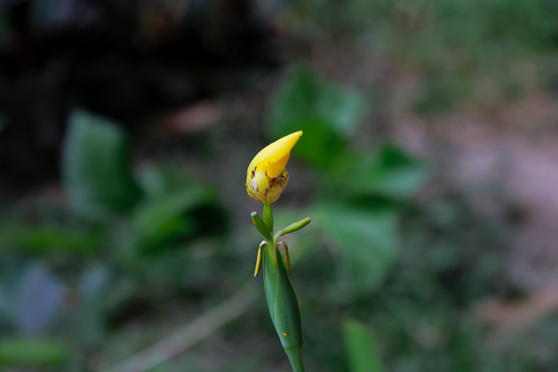 IMG_0284.JPG