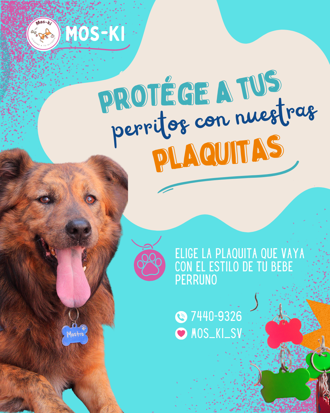 Moskiplaquitas.png